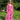 CRAS Georgia Skirt Skirt 8097 Pink Rosette