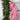 CRAS Lara Dress Dress 8097 Pink Rosette