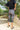 CRAS Tesscras Legging Pants 8067 Urban Leo
