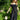CRAS Urbancras Dress Dress 9999 Black